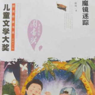 《魔镜迷踪》——一只受伤的流浪鹅