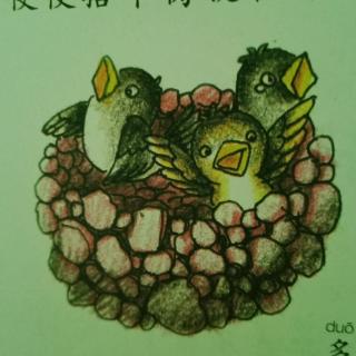 《麻雀🐦学搭窝》