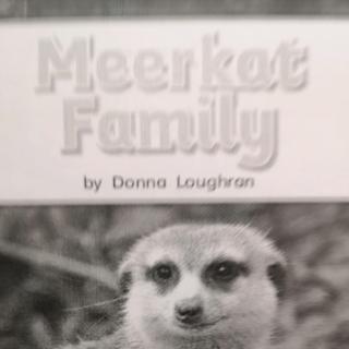 Oct.16 Rury-Meerkat Family