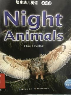 Night Animals