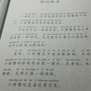 树的眼泪