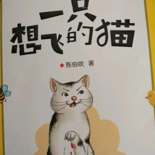 《一只想飞的猫》1——6页。