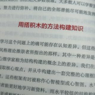 用搭积木的方法构建知识