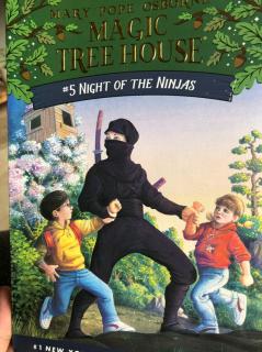 #5Night of the Ninjas(2)The open book