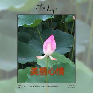 《我妈是个老巫婆，天天逼我写作业》-冷月心