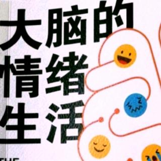 《大脑的情绪生活》第九章第一部分（阿字正念）