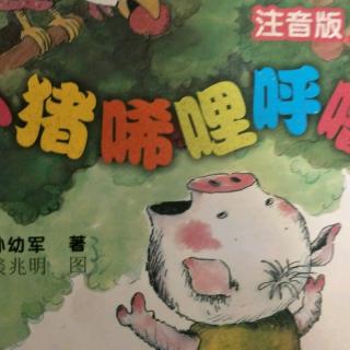 小猪唏哩呼噜