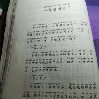 小青蟹回来了