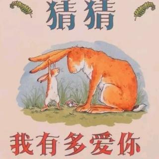 睡前故事927《猜猜我有多爱你》