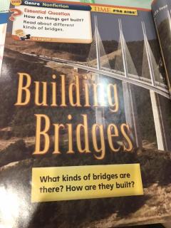 building bridges-stacy