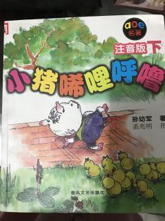 寻访路匪，真侠斗假侠