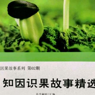 《知因识果故事精选》故事199：六只狐狸，六条人命