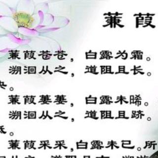 唐晓玉平调《蒹葭》