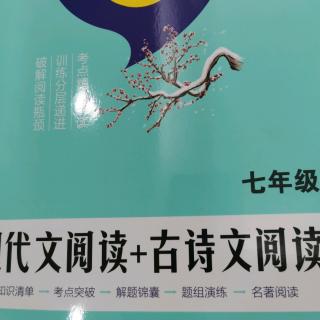 六年级《5.3阅读》