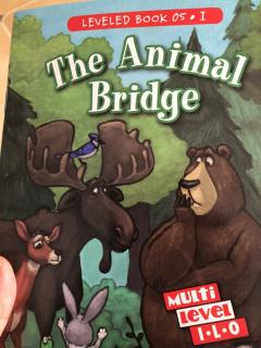 the animals bridge