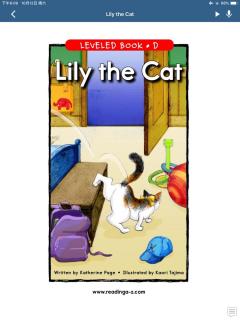 Lily The Cat