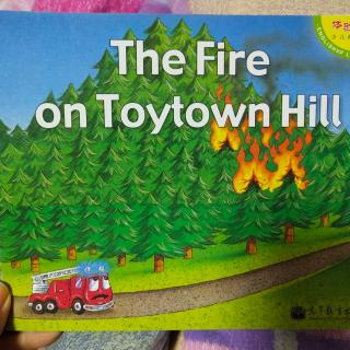 The Fire on Town Hill
