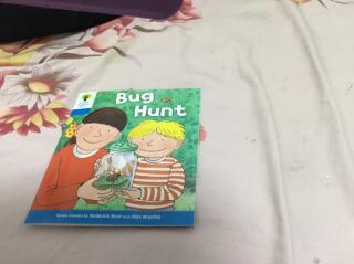 安迪英文 bug hunt 2019.10.18