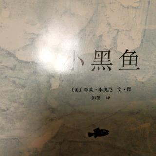 小黑鱼