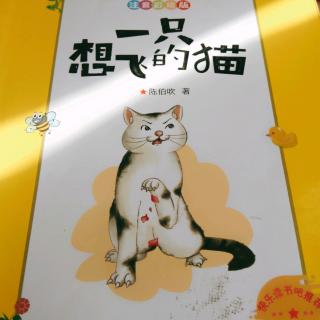 《一只想飞的猫》12——18页。