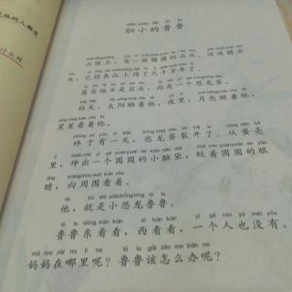 胆小的鲁鲁