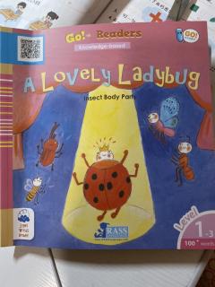 Alicia-A lovely ladybug 6th