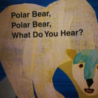 昊昊讲故事。《polar bear》