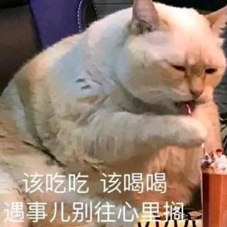 练习纸D音频