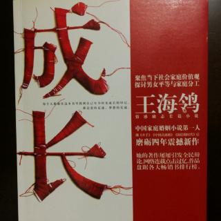 长篇小说：成长4