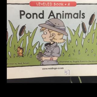 Pond Animals