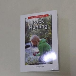 314Rock Hunting
