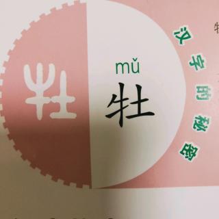 汉字背后的故事《牡》