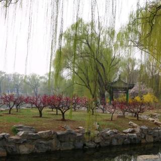 《纯真北京—春天与圆明园》黄海