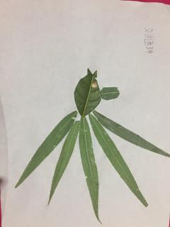 奇迹的名字叫父亲