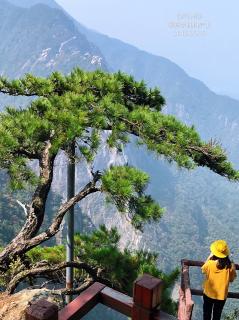 奉真读 王维 《辋川闲居赠裴秀才迪》