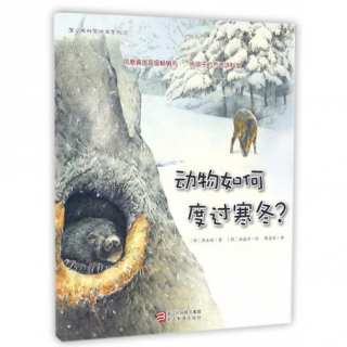 【Day1863】绘本故事《动物如何度过寒冬》