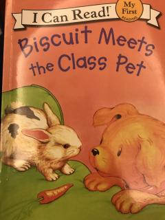 Biscuit Meets the Class Pet