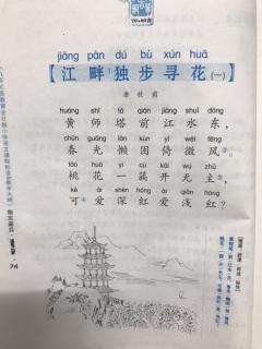 江畔独步寻花（一）