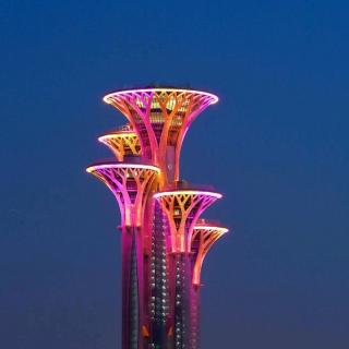 牧羊猪第十集用心铭记