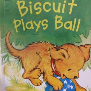 第一次读Biscuit play ball