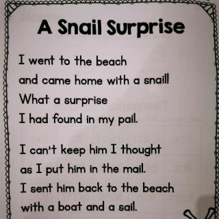 A snail surprise