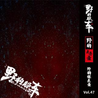 野狗探灵录Vol.47 - 嘉宾：大超（续）