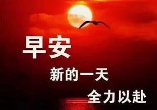 陆总  答疑