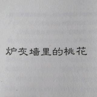 炉灰墙里的桃花      二