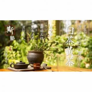 斯塾「四季问茶」第二讲：白茶、黄茶