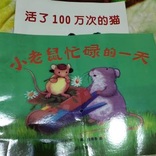 小老鼠忙碌的一天＋活了100万次的猫