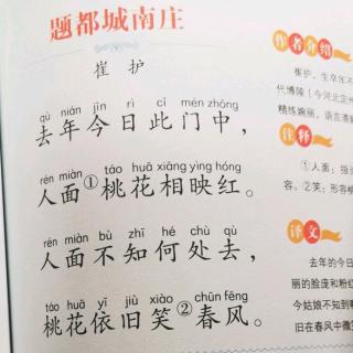 题都城南庄唐崔护