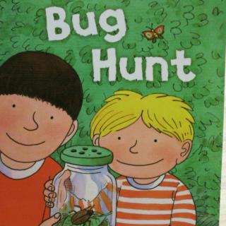 3-38Bug hunt