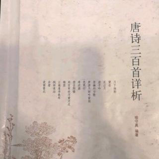 唐詩三百詩No.30五古 佳人 杜甫 學(xué)陳少松先生吟誦