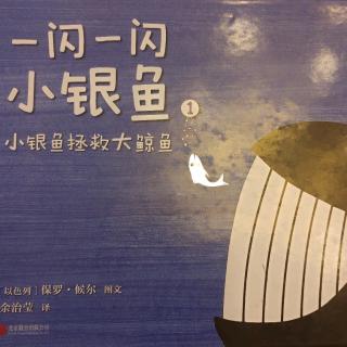 一闪一闪小银鱼·小银鱼拯救大鲸鱼🐳